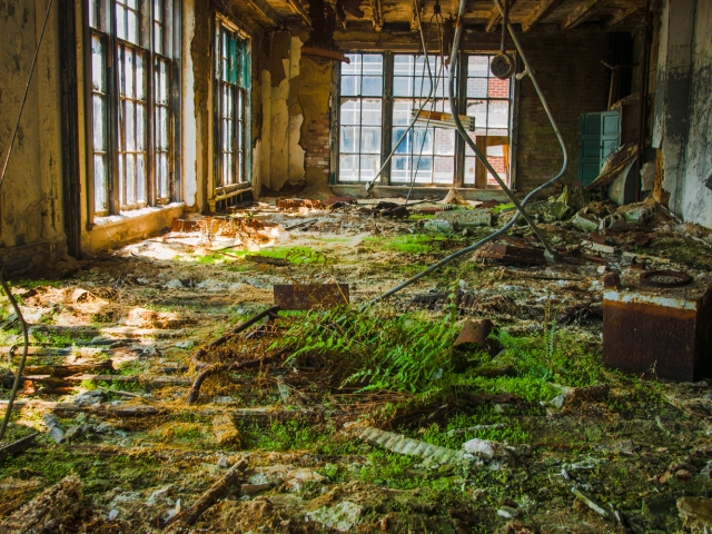 overgrowth taking over a room in abandoned theater