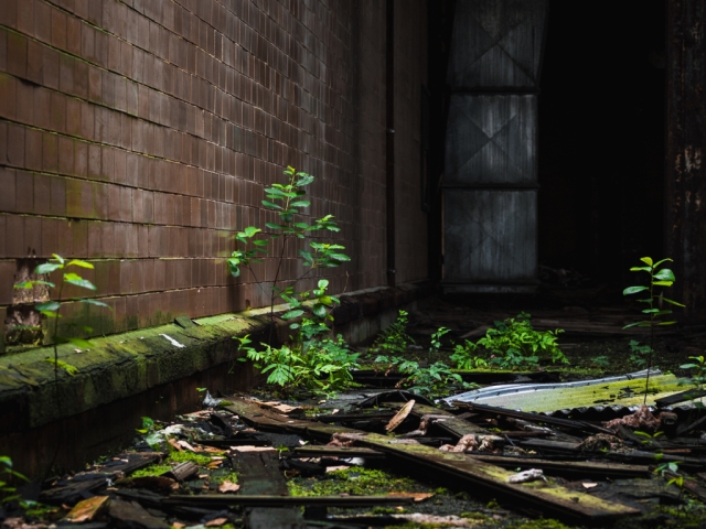 abandoned industrial rayon factory overgrowth