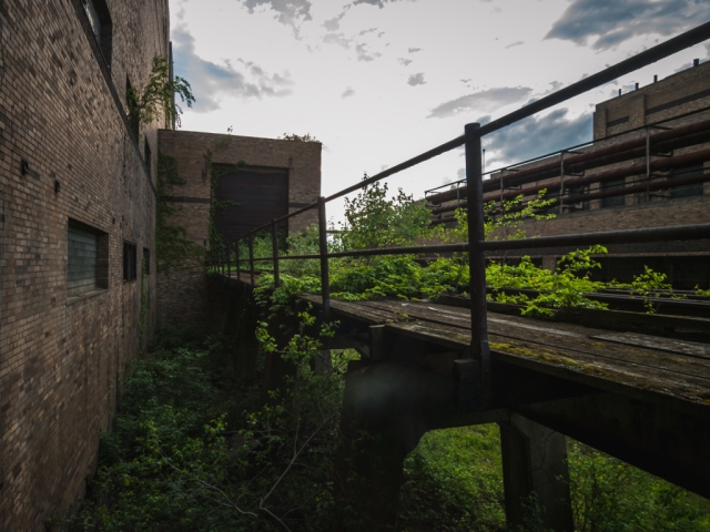 abandoned industrial rayon factory overgrown railroad tracks