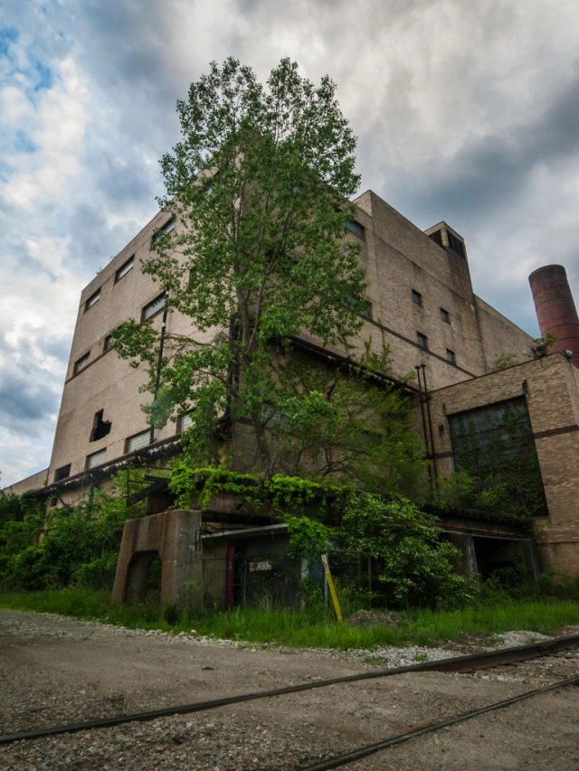 abandoned industrial rayon factory overgrown