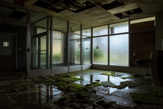 fogged windows and mossy floor inside abandoned hospital