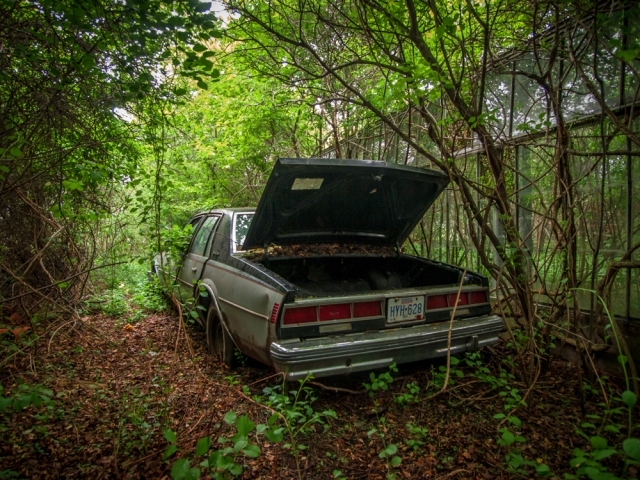 abandoned car inside abandoned greenhouse