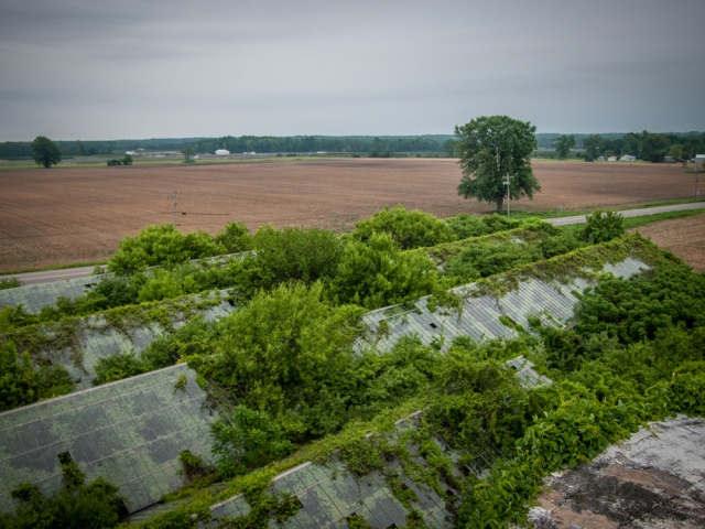 Overhead view of Abandoned Overgrown Greenhouse Becoming a Forest