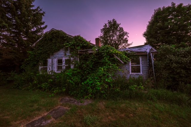 Abandoned Home Consumed by Ivy 2