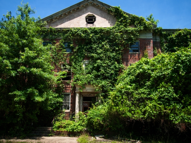 Abandoned Overgrown Asylum