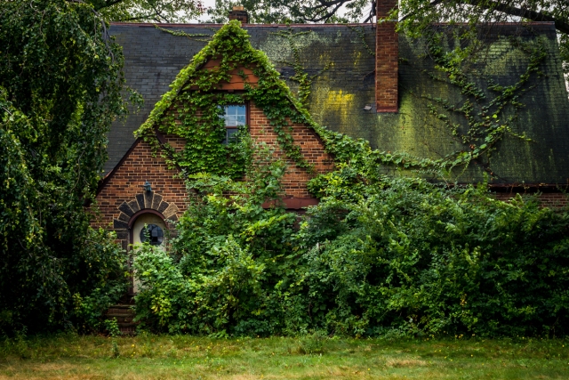 Abandoned Overgrown Fairy House