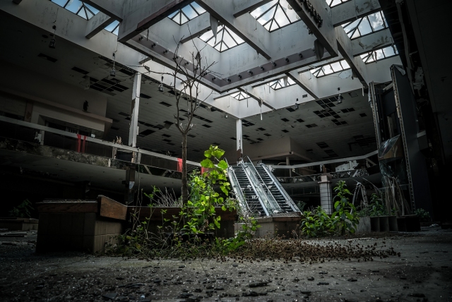 Abandoned Overgrown Mall