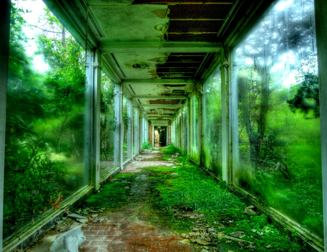 abandoned overgrown hallway green