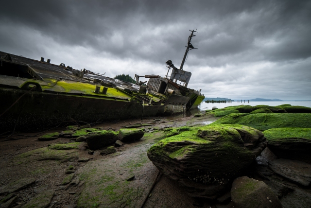 abandoned partially submerged ship covered in moss
