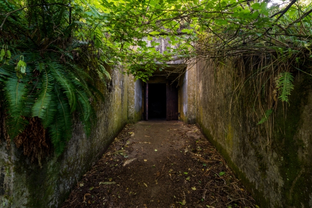 abandoned overgrown war bunker